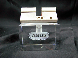 2D ABUS Logo